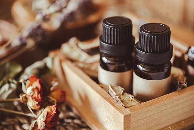 【精油深掘りシリーズ】注目の「コパイバ精油」とは？